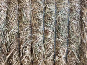 200mt Oaten Hay 8x4x3 Bales