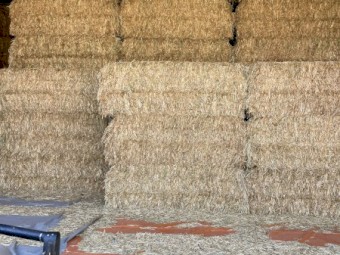 200mt Oaten Hay 8x4x3 Bales