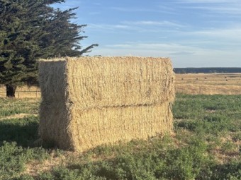 60mt Lucerne Hay 8x4x3 Bales
