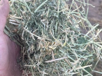 60mt Lucerne Hay 8x4x3 Bales