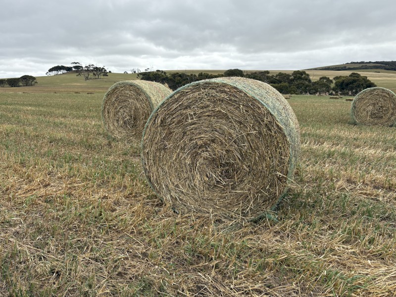 200 x Oaten Hay 420kg Rolls