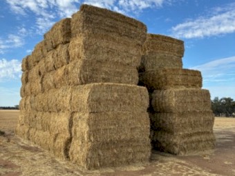 Barley Hay Top Bales