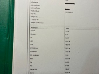 Barley Hay Top Bales