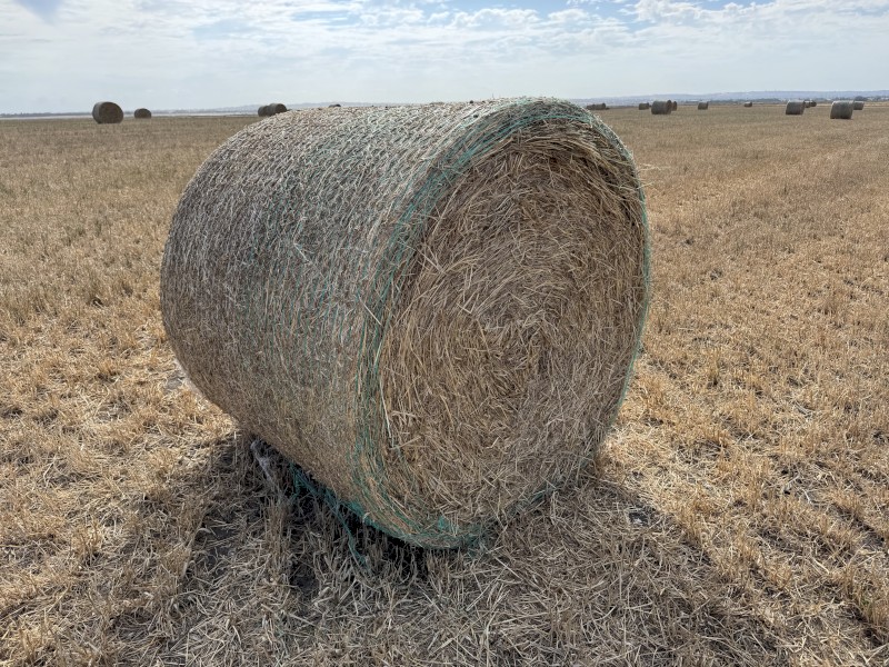 300 x Cereal Hay Round Bales