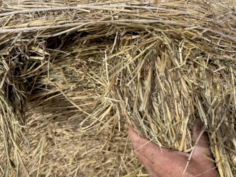 300 x Cereal Hay Round Bales