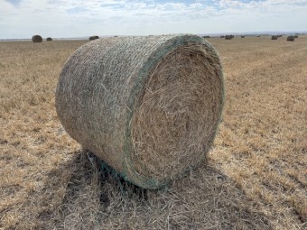 300 x Cereal Hay Round Bales