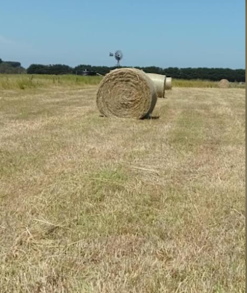 45 x Oats & Rye Round Bales