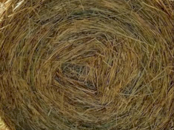 45 x Oats & Rye Round Bales