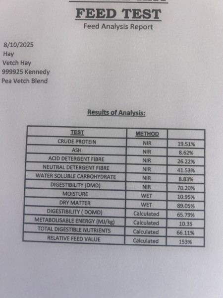 200mt Vetch/Pea Hay 8x4x3 Bales
