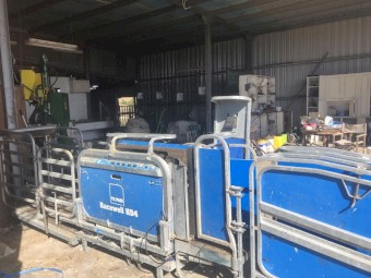 2019 Te Pari  Racewell HD4 Sheep Handler