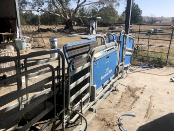 2019 Te Pari  Racewell HD4 Sheep Handler