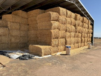129mt Oaten Hay 680kg 8x4x3 Bales