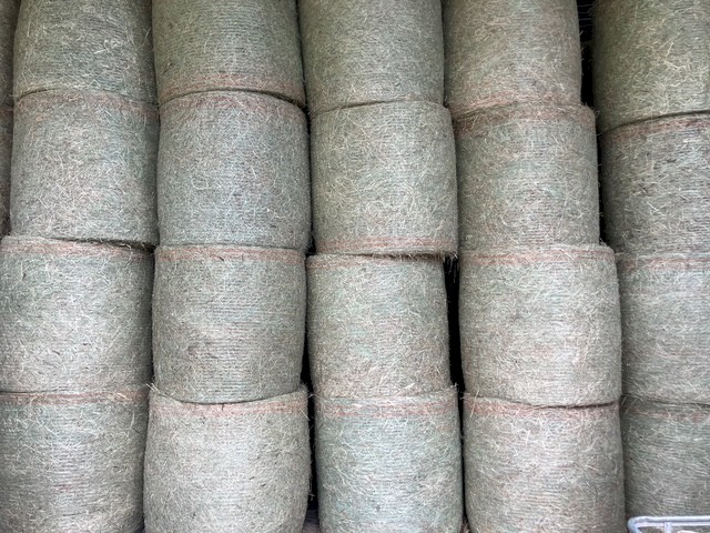 Premium  New Season 4^4 Bluegrass Pasture Hay