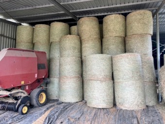 68 bales Shedded 4^4 Quality Rhodes Grass Hay to Victoria & SA