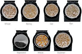 GrainSense Go Analyzer