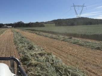 500mt Oaten Hay 525kg 8x4x3 bales