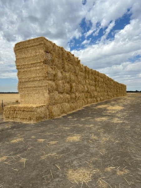 170tn Wheat Straw Bales
