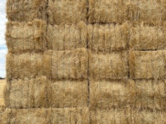 170tn Wheat Straw Bales