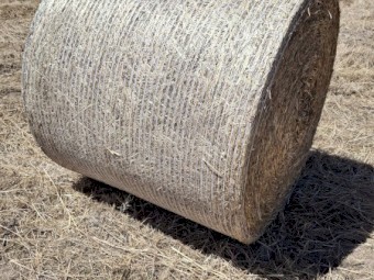 HAY Bale for Sale