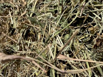 Cow Pea and Millet Rounds 4x4