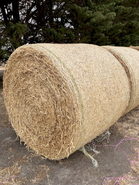 50 x Pea Straw 4x4 Rolls