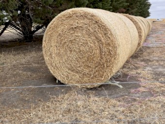 50 x Pea Straw 4x4 Rolls