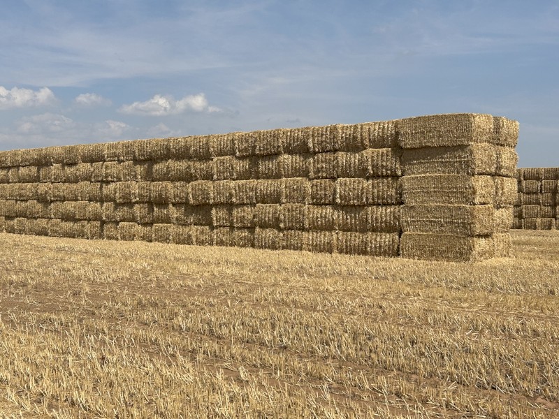 300mt Wheat Straw 450kg 8x4x3 Bales
