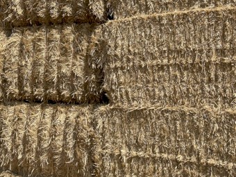 300mt Wheat Straw 450kg 8x4x3 Bales