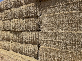 300mt Wheat Straw 450kg 8x4x3 Bales