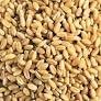 Bulk certified organic grains available