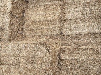 Barley straw squares