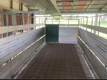 Strasburg Cattle Crate approx 6m x 2.4m