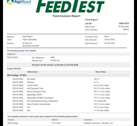1500mt Wheaten Ryegrass Hay 600kg 8x4x3 Bales