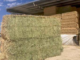 210mt Oaten Hay 650kg 8x4x3 Bales