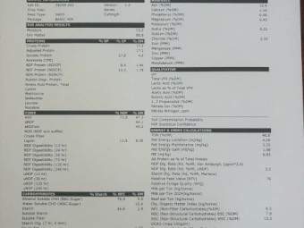 270mt Vetch Hay 600kg 8x4x3 Bales