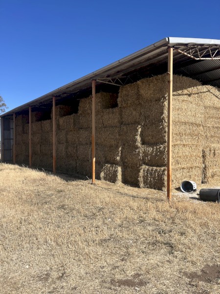 500mt Wheaten Hay 8x4x3 Bales