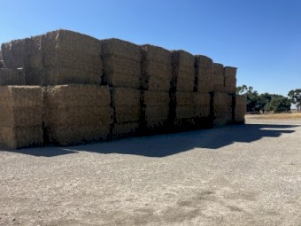 500mt Wheaten Hay 8x4x3 Bales