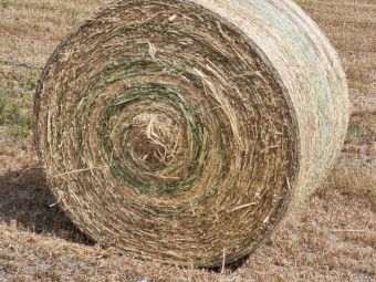500 x Oaten Hay 400kg 5x4 Round Bales