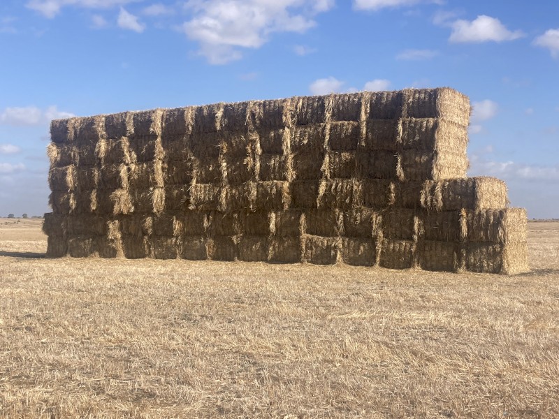 85mt Wheaten Hay 8x4x3 Bales
