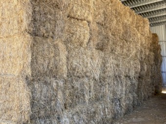 40mt Oaten Clover Hay 8x4x3 Bales