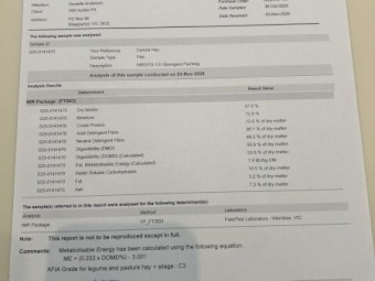 100mt Canola Hay 8x4x3 Bales