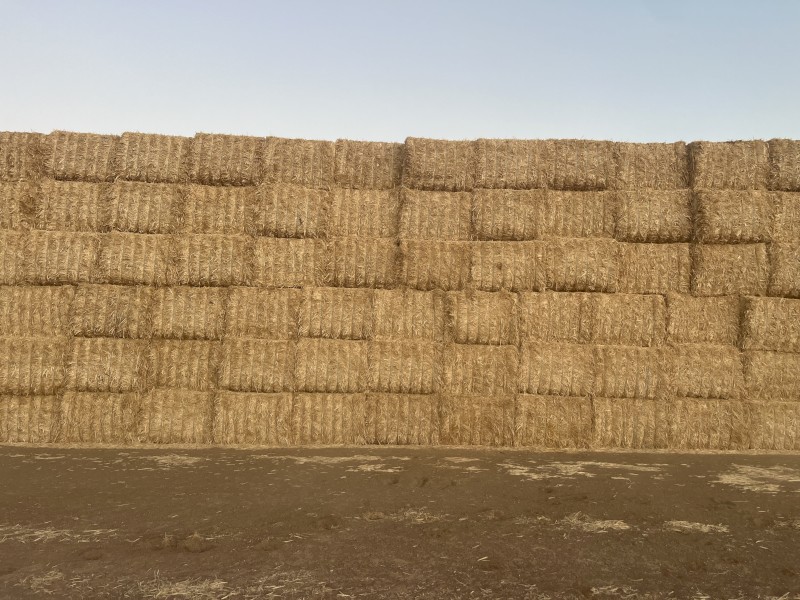 500mt Wheaten Straw 8x4x3 Bales