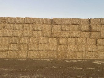 500mt Wheaten Straw 8x4x3 Bales