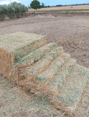 300mt Wheaten Hay 8x4x3 Bales