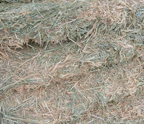 300mt Wheaten Hay 8x4x3 Bales
