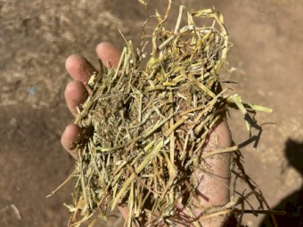 200mt Vetch Hay 640-660kg 8x4x3 Bales