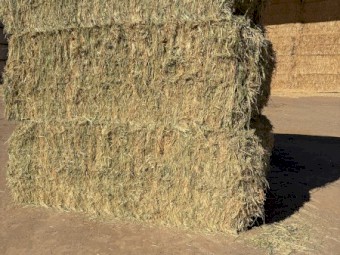 690MT Oaten Hay 8x4x3 Bales