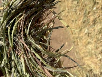 690MT Oaten Hay 8x4x3 Bales