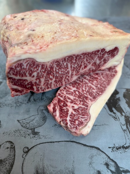 Full Blood Wagyu Steer (Relocation Sale)