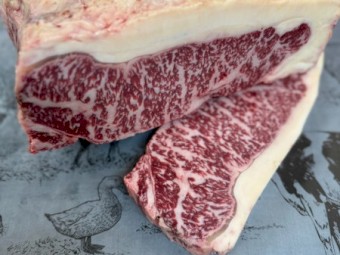 Full blood Wagyu steer RELOCATION SALE